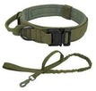 Green Set / L