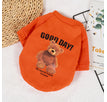 Can Sweater Orange / XS