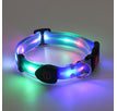 Hundehalsband Blau / USB