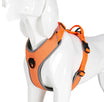 Orange / XS