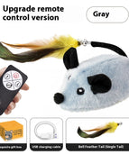 Gray Remote Control