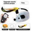 Gray Remote Control