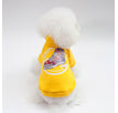 Shoes Sweater Yellow / S
