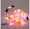 Orangefarbenes Set / USB