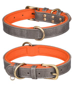 Doppel-D-Ring Grau Orange
