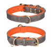 Doppel-D-Ring Grau Orange / Größe