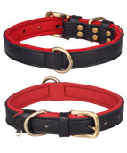 Doppel-D-Ring Schwarz Rot