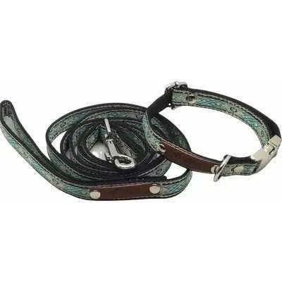 Finnigan's Pampered Pup Collar Set with Custom Engraving-1