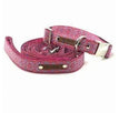 Large (38-60cm)