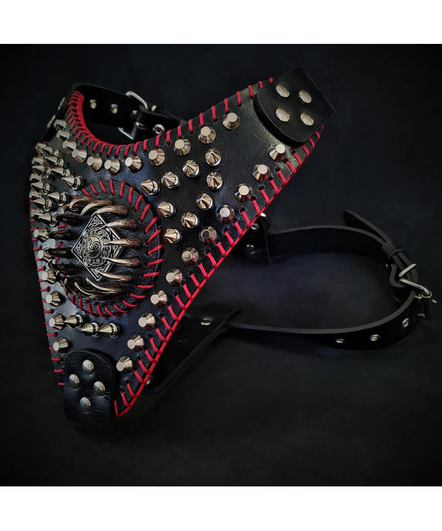 Handstitched "David" harness-0