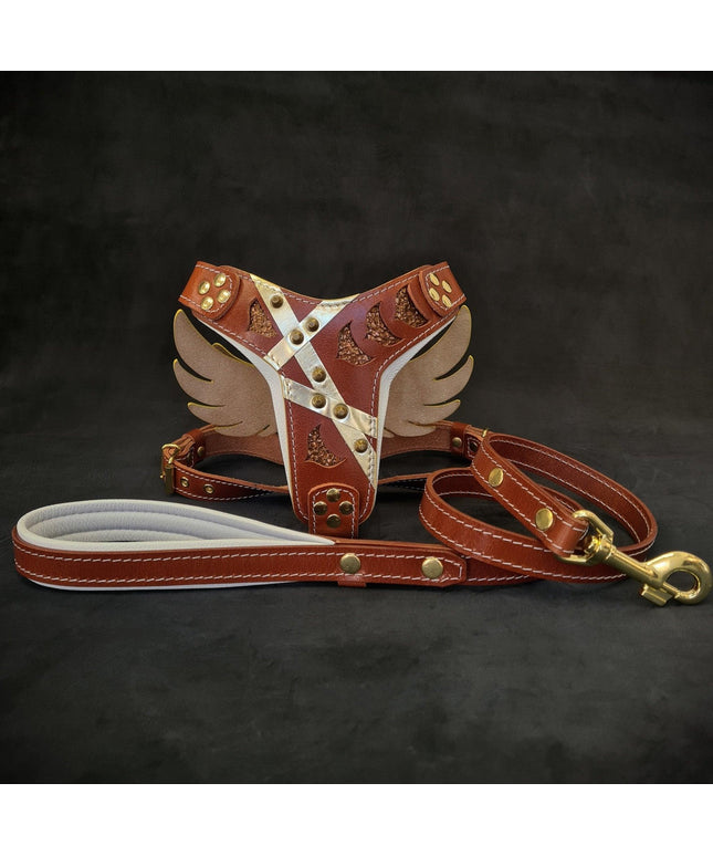 "Hermes" Set- harness & leash-0