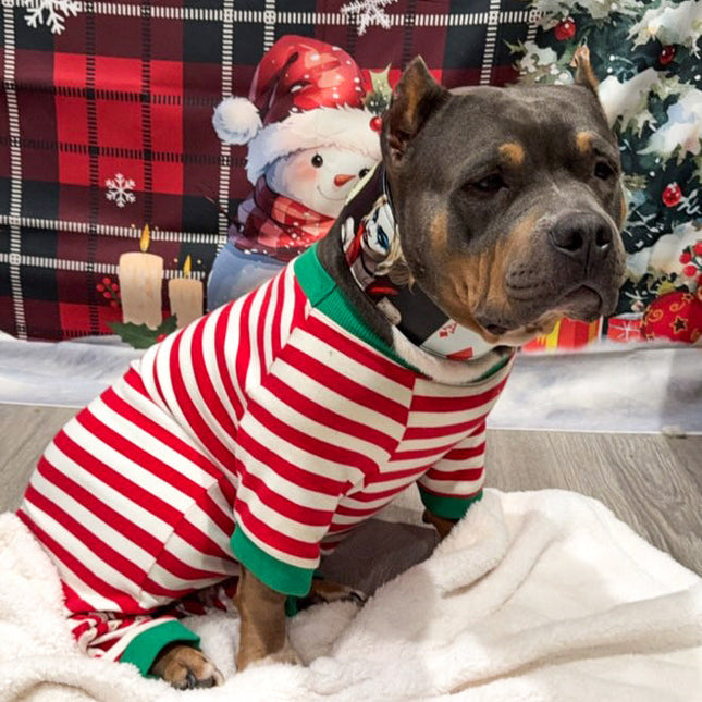 The Harley Limited Collar-4