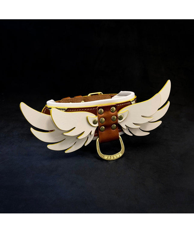 Hermes Collar-0