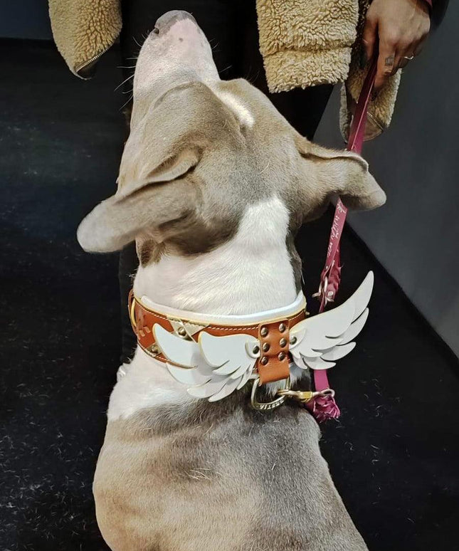 Hermes Collar-1
