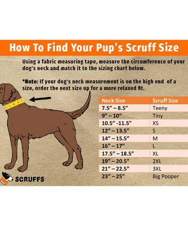 Pizza Luva Pup Scruff-2
