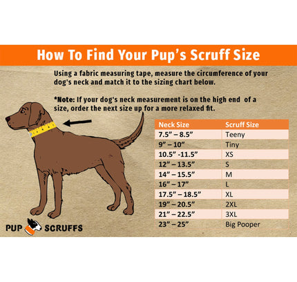 Rocky Road Pink Pup Scruff-2
