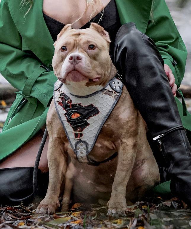 El arnés “Ojo de Dragón” ¡LIMITADO! 
