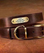Rich Brown