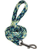 Blue Leash