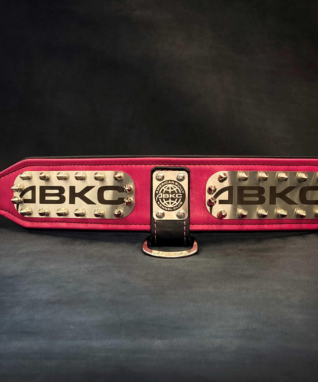 The ABKC Collar-3