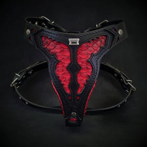 The ''Harnais Dragon Rouge'' Taille Moyenne