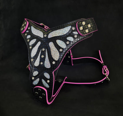 The ''Ariel'' harness-1