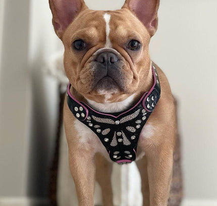 The ''Ariel'' harness Small to Medium Size-2