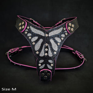 Das Geschirr „Ariel“ in den Größen S bis M 