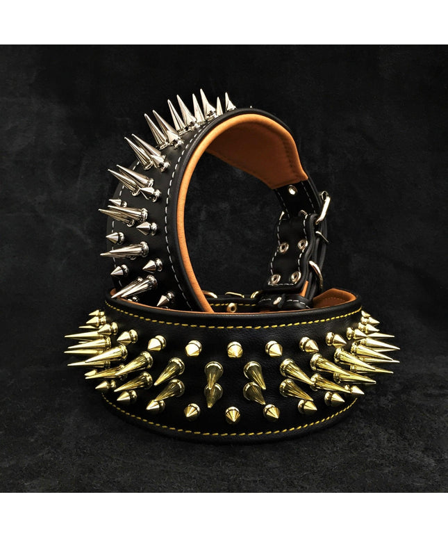 The "Big Boy" collar-0