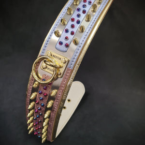 Le Collier pour Chien Candy