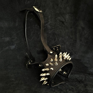 Der „Danger“-Maulkorb