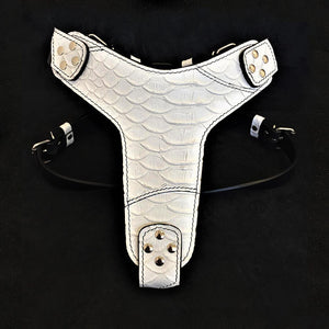 The ''Harnais ''Écaille de Dragon''