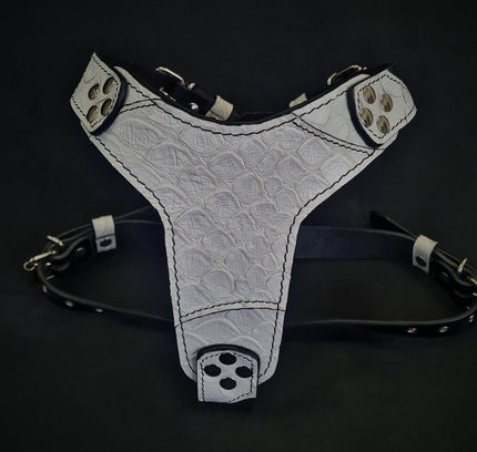 The Dragon Scale harness Medium Size-0