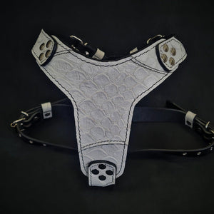 Das Drachenschuppengeschirr mittlerer Größe