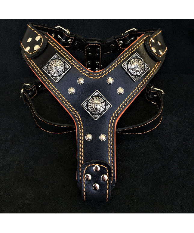 The "Eros" harness Black & Orange-0