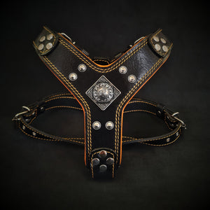 The ''Eros'' harnais Noir & Orange Taille Petite à Moyenne