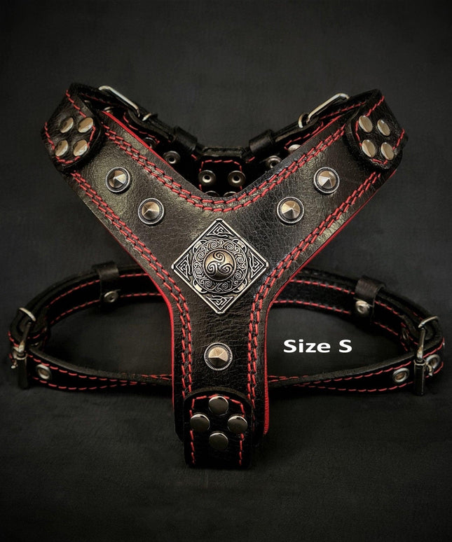 The ''Eros'' harness Black & Red Small to Medium Size-1