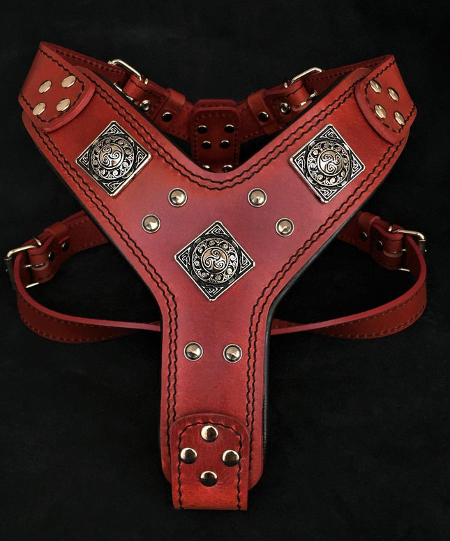 The "Eros" harness RED