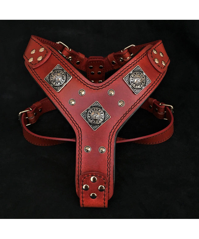 The "Eros" harness RED-0