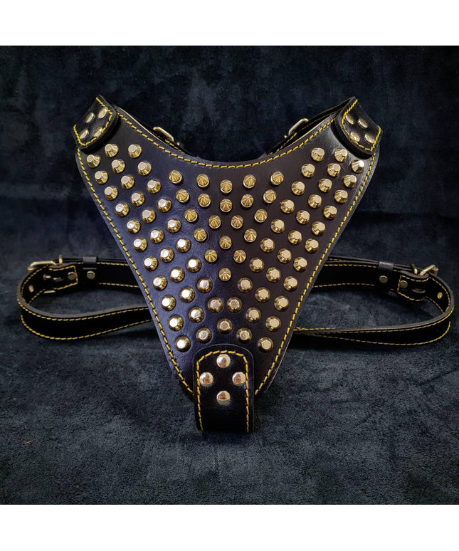 The "Gladiator" harness Gold/Silver-0