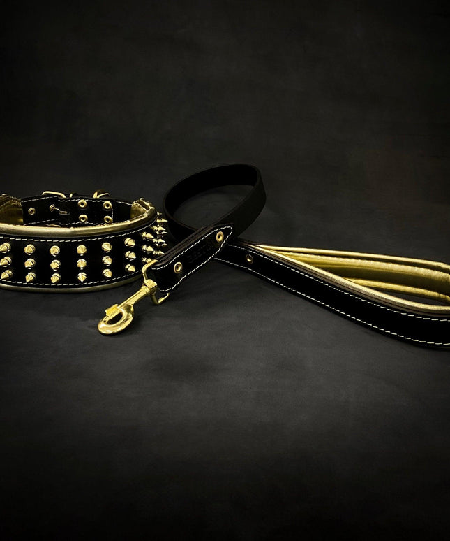 The "Gold Giant" collar-2