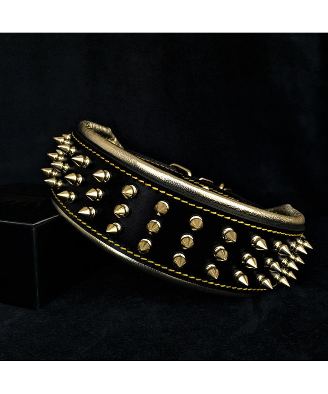 The "Gold Giant" collar-0