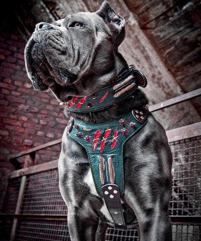 The ''Haunted'' harness LIMITED-1