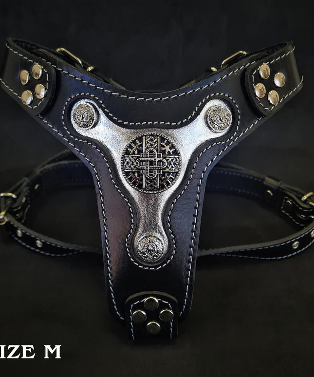The "Hektor" harness-1