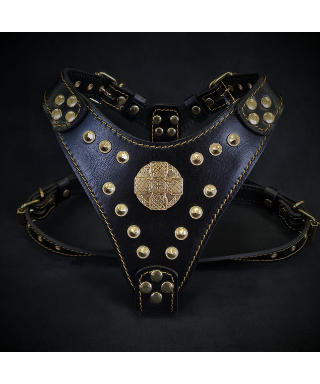 The ''Maximus'' harness Black & Gold  Small to Medium Size-0
