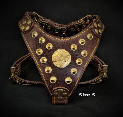 The ''Maximus'' harness Brown & Gold Small to Medium Size-1