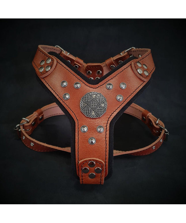 The ''Maximus'' harness brown & silver Small to Medium Size-0