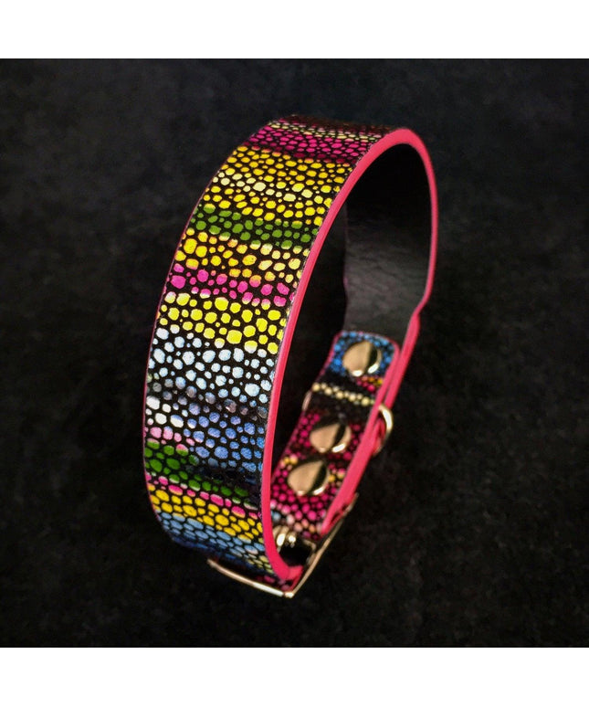 The "Moby" puppy collar-0