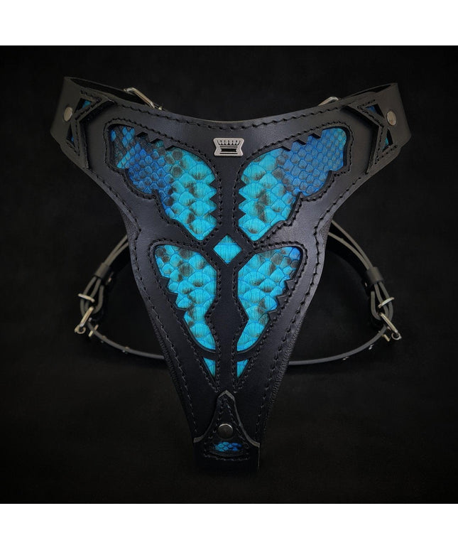 The ''Morelia Python'' harness-0