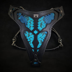 Le harnais ''Morelia Python''